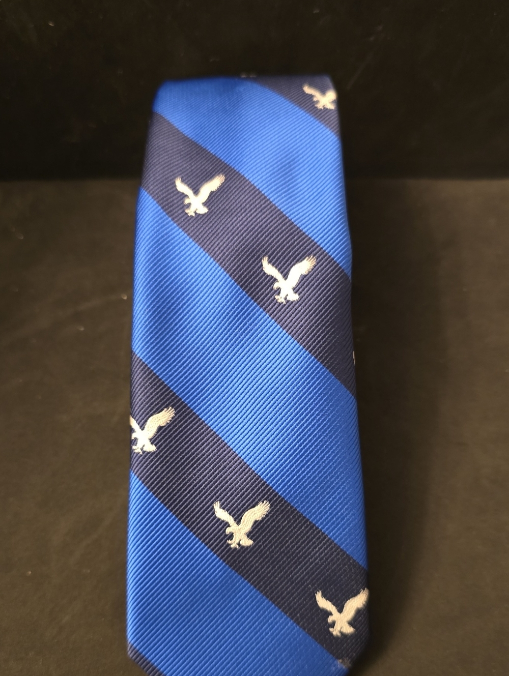 Blue Striped Eagle Motif Men's Tie AmericanEagle Outfitters 2013